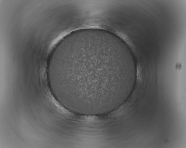 X0000111911452200907271210