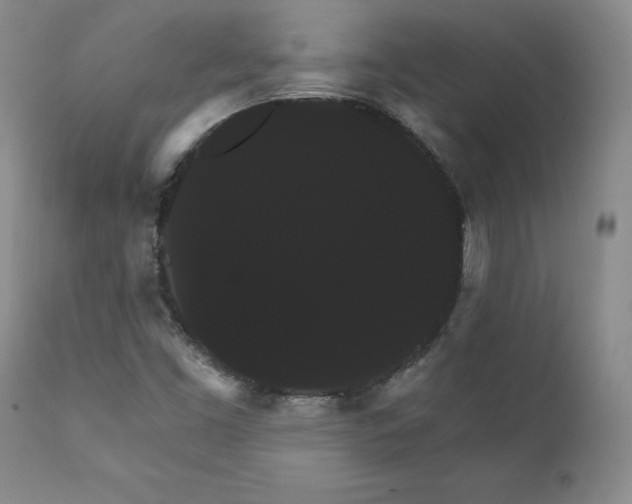 X0000111911453200907271210