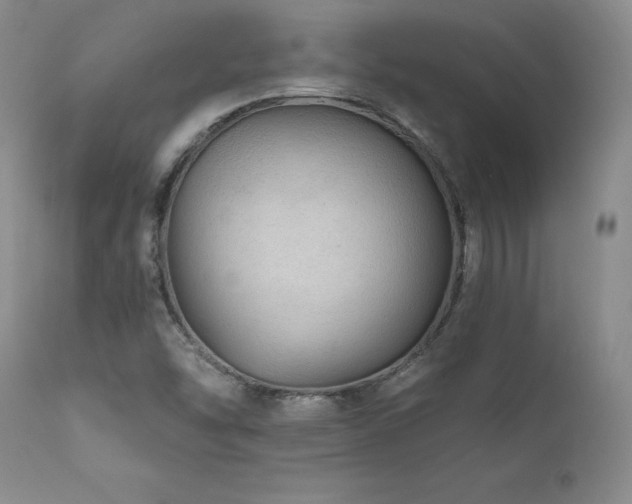 X0000111911454200907271210
