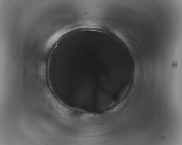 X0000111911455200907271210