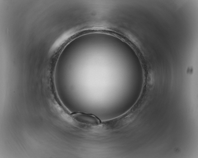 X0000111911456200907271210
