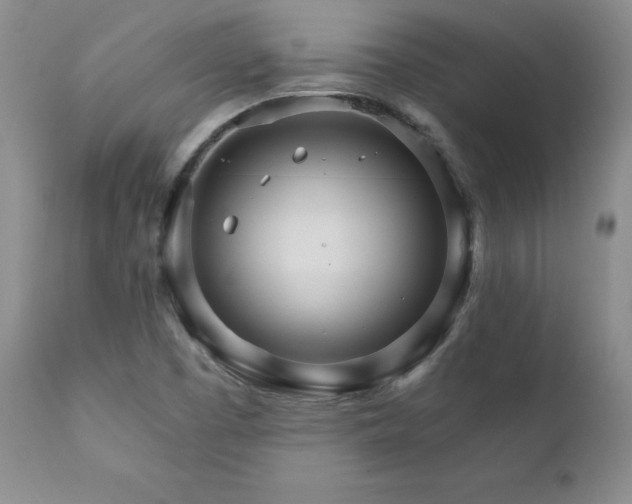 X0000111911457200907271210
