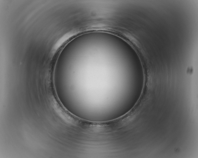 X0000111911458200907271210