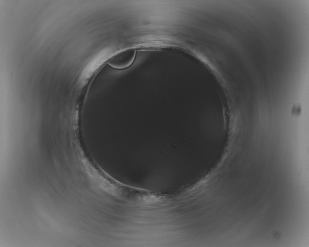 X0000111911459200907271210
