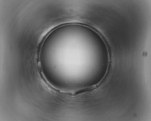 X0000111911460200907271210
