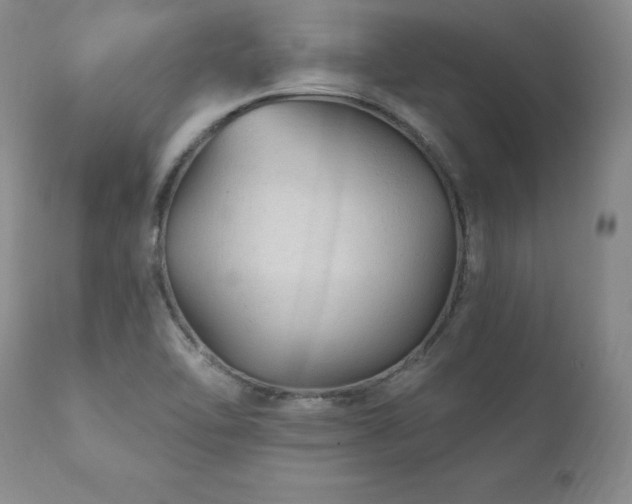 X0000111911462200907271210