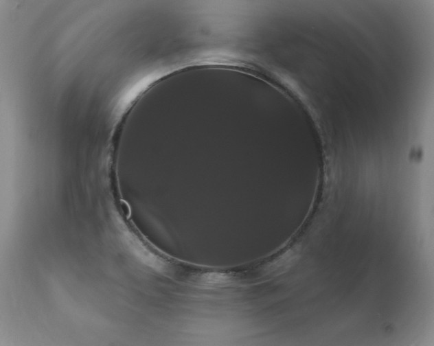 X0000111911463200907271210