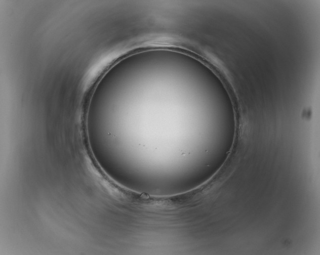 X0000111911464200907271210