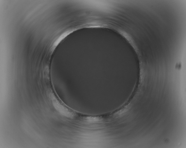 X0000111911465200907271210