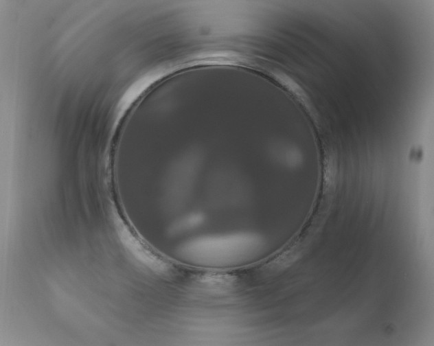 X0000111911466200907271210