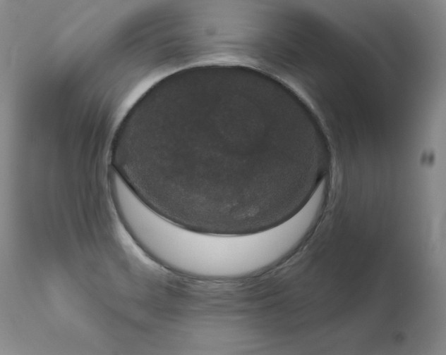 X0000111911468200907271210