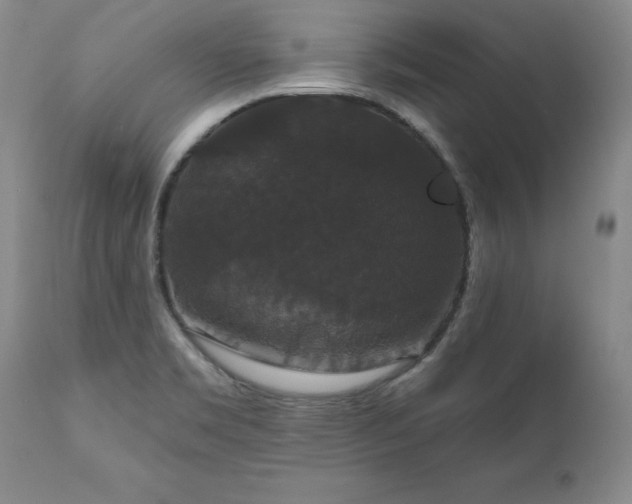 X0000111911469200907271210