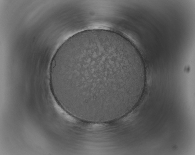 X0000111911471200907271210