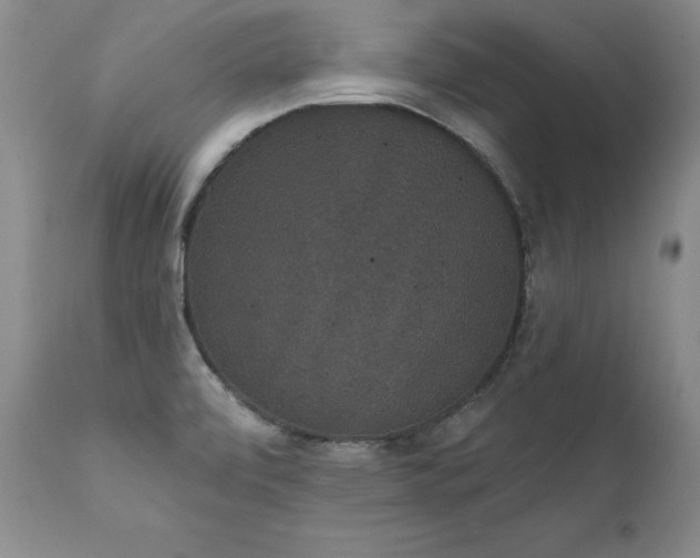 X0000111911472200907271210