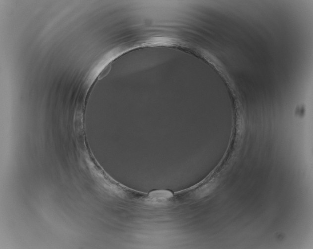 X0000111911473200907271210