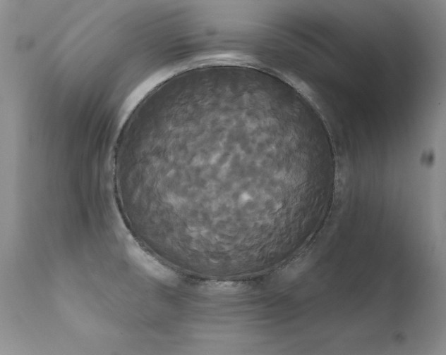 X0000111911474200907271210