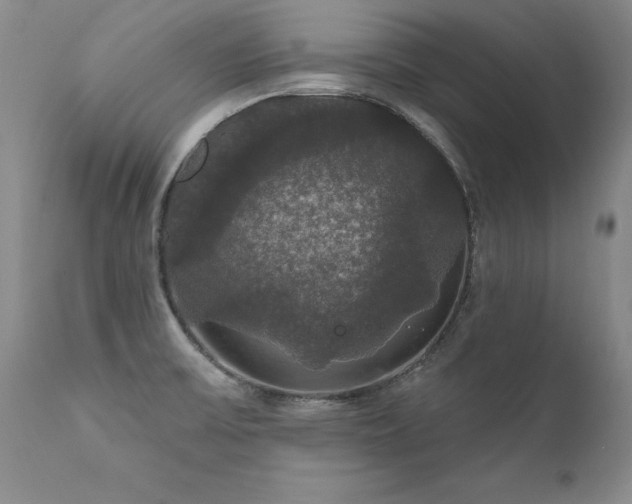X0000111911475200907271210