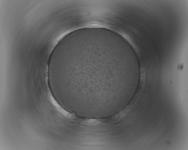 X0000111911476200907271210