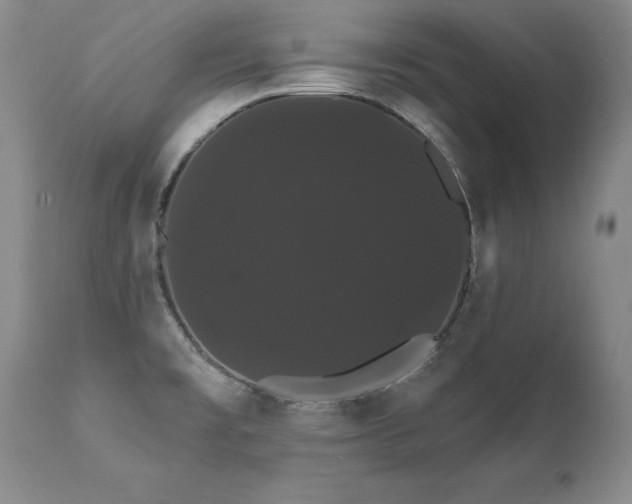 X0000111911477200907271210