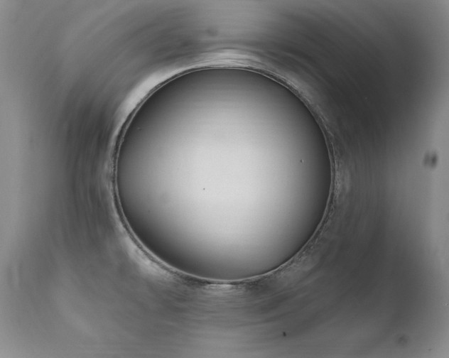 X0000111911478200907271210