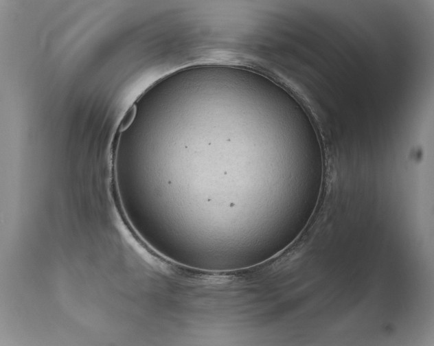 X0000111911479200907271210