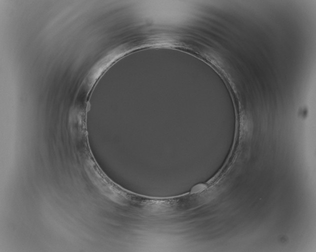 X0000111911481200907271210