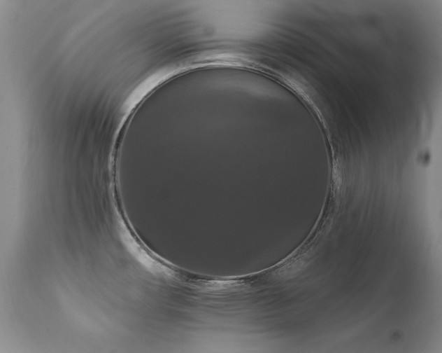 X0000111911482200907271210