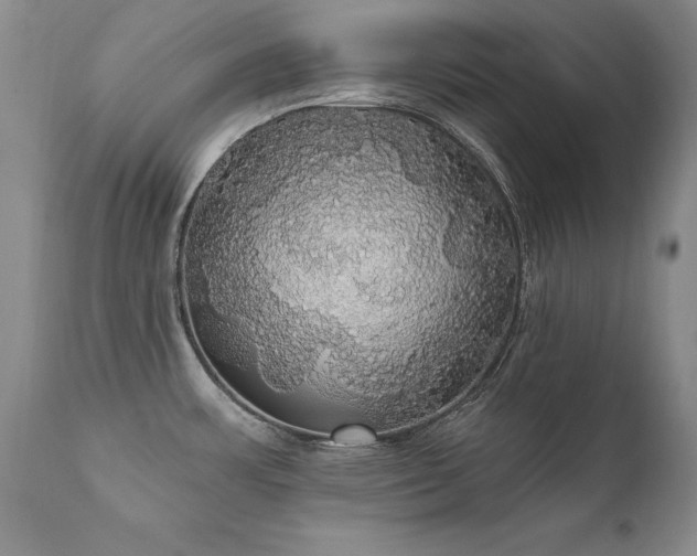 X0000111911483200907271210