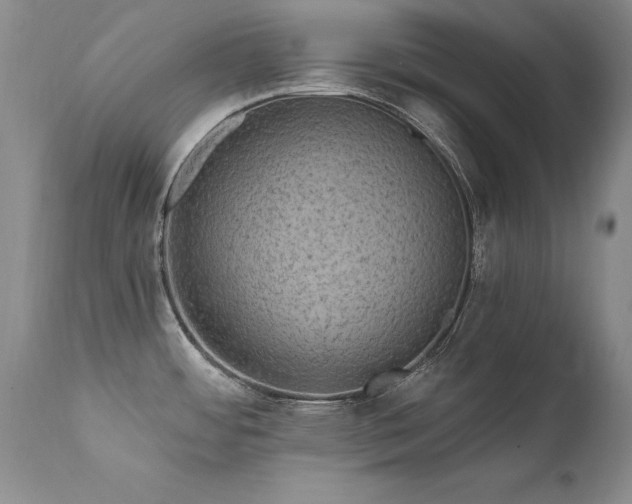 X0000111911484200907271210