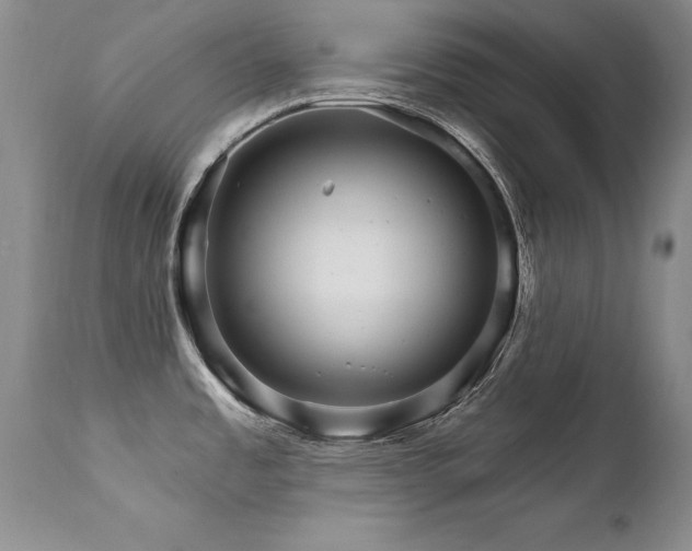 X0000111911485200907271210