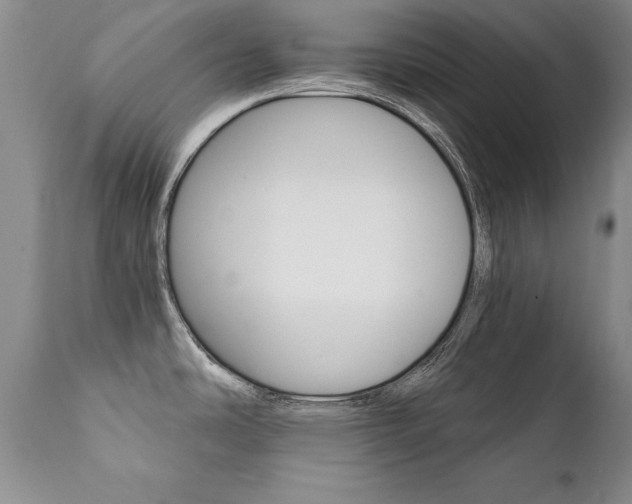X0000111911486200907271210
