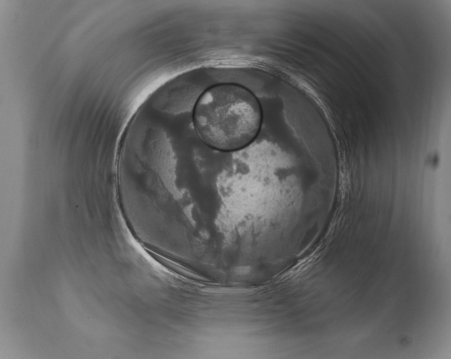 X0000111911487200907271210