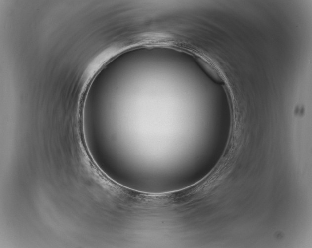 X0000111911488200907271210