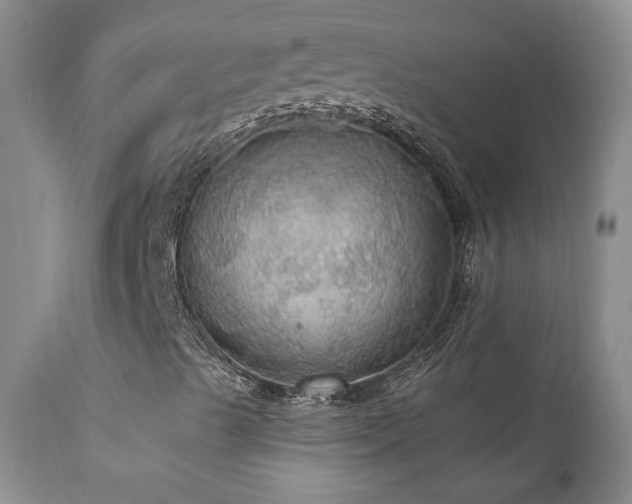 X0000111911489200907271209