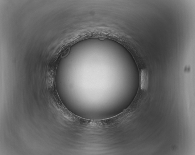 X0000111911491200907271209