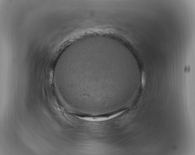 X0000111911492200907271209