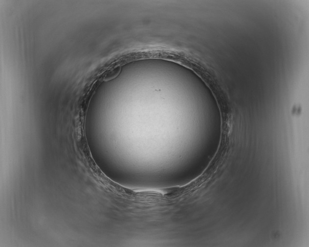 X0000111911493200907271209