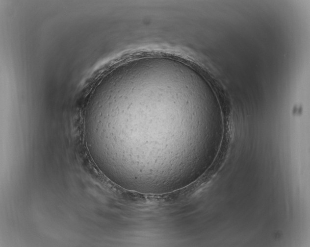 X0000111911494200907271209