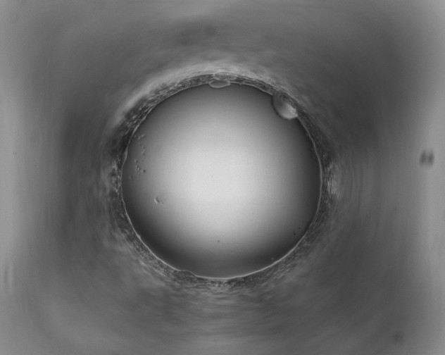 X0000111911495200907271209