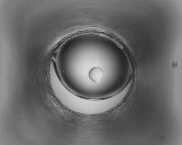 X0000111911496200907271209