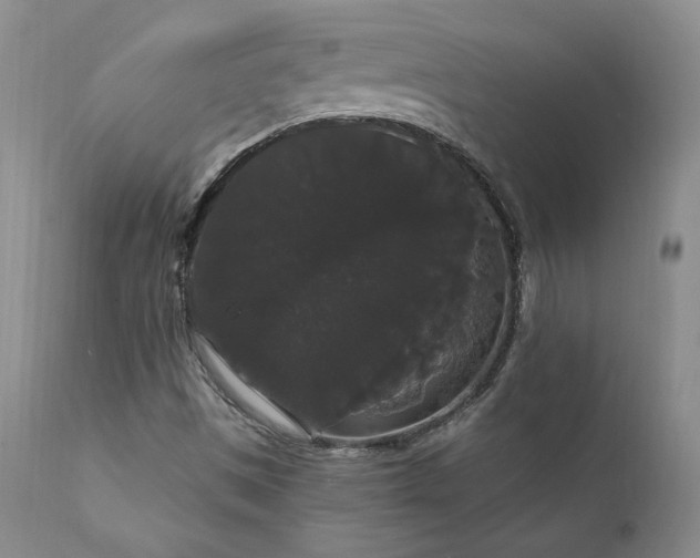 X0000111911497200907271209