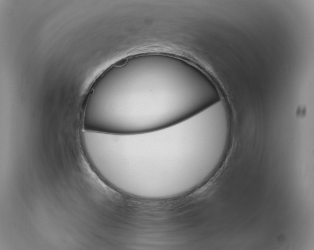 X0000111911500200907271209