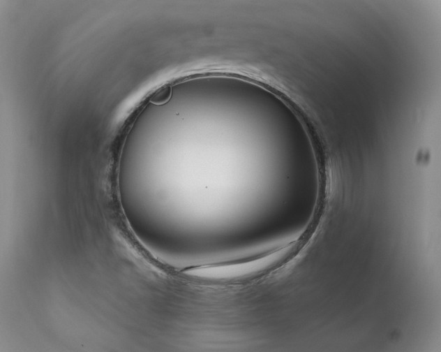 X0000111911502200907271209