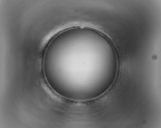 X0000111911503200907271209