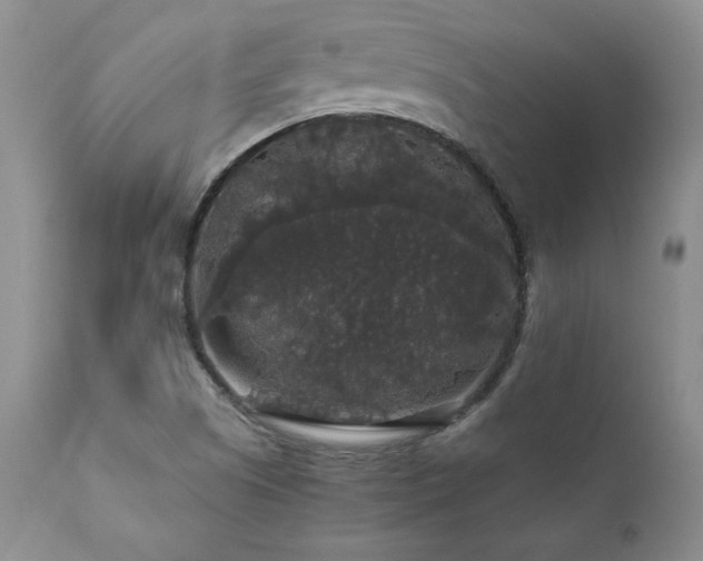 X0000111911505200907271209