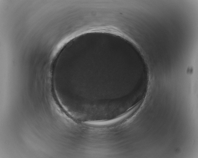 X0000111911506200907271209