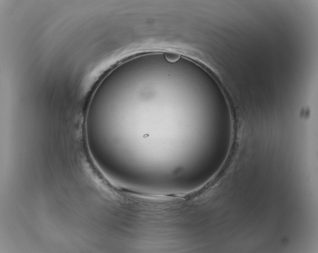 X0000111911507200907271209