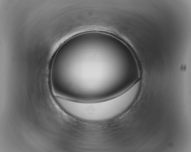X0000111911508200907271209