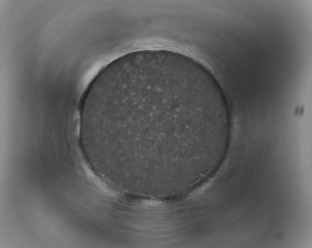 X0000111911509200907271209