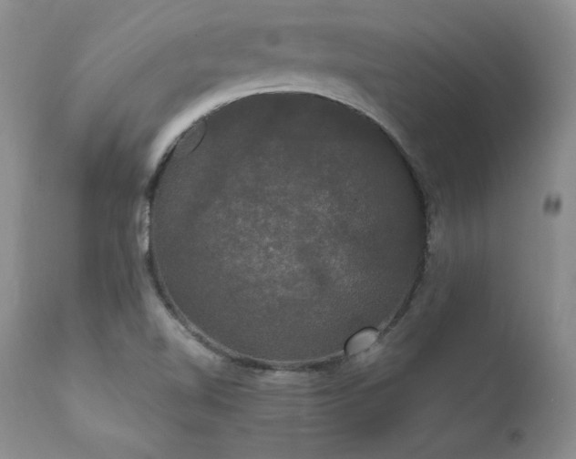 X0000111911510200907271209